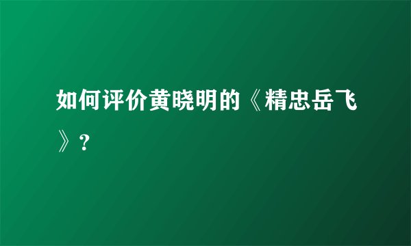 如何评价黄晓明的《精忠岳飞》？