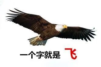 郑州是中部城市里发展潜力最大的吗？
