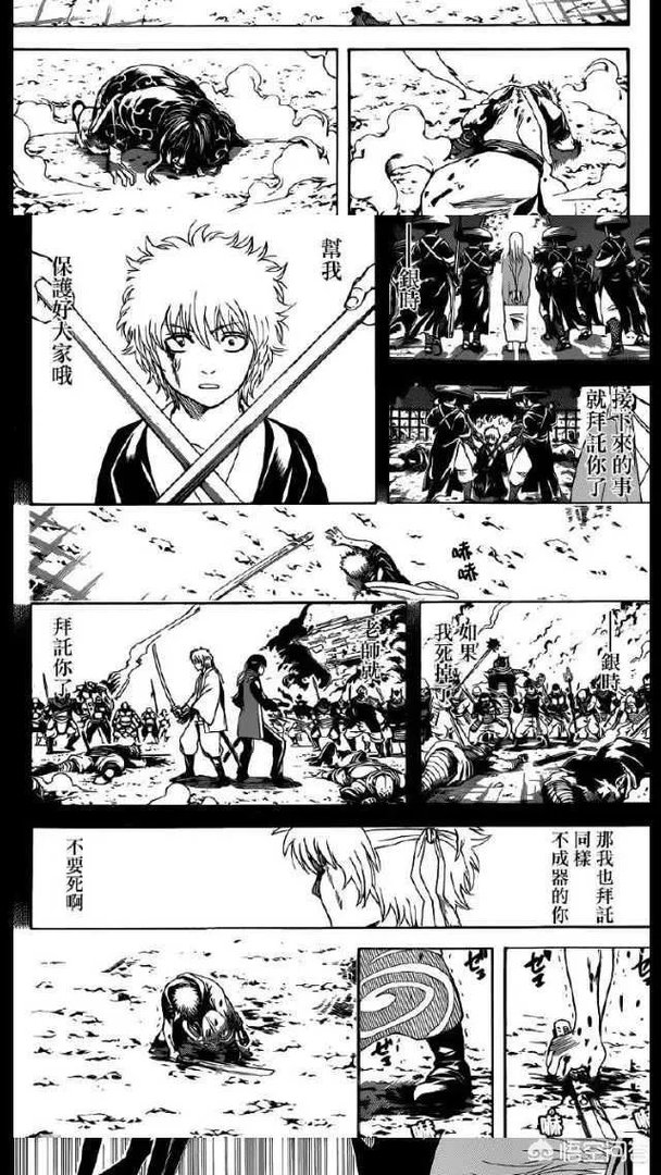 如何看待银魂漫画第519训？