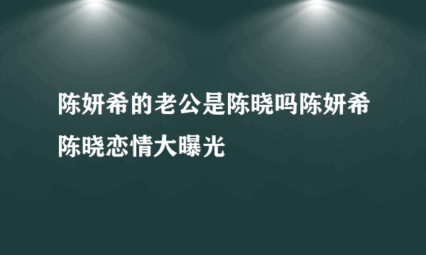 陈妍希的老公是陈晓吗陈妍希陈晓恋情大曝光