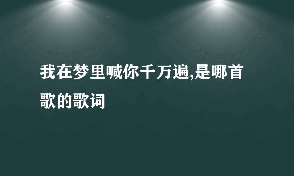 我在梦里喊你千万遍,是哪首歌的歌词