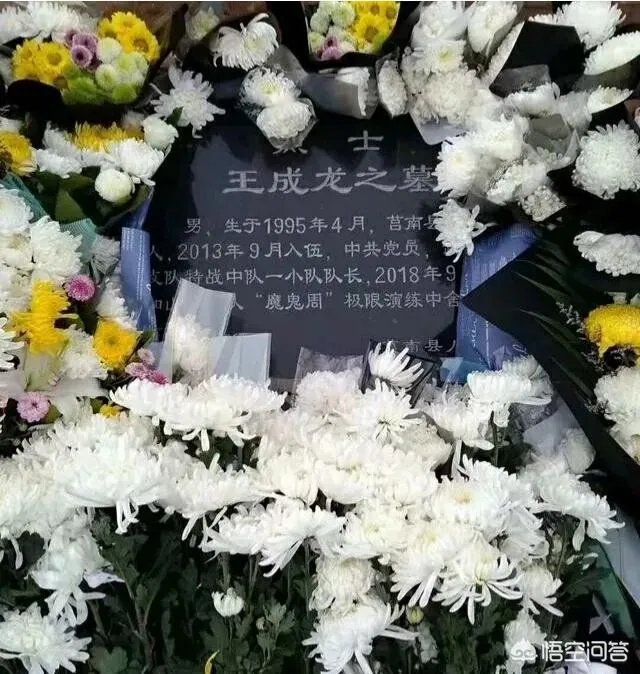 王成龙事迹