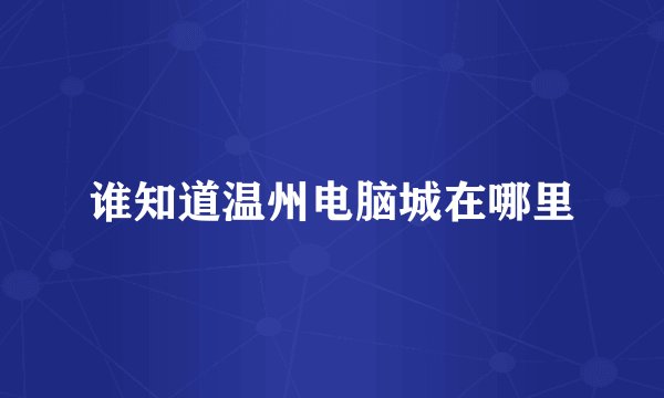 谁知道温州电脑城在哪里
