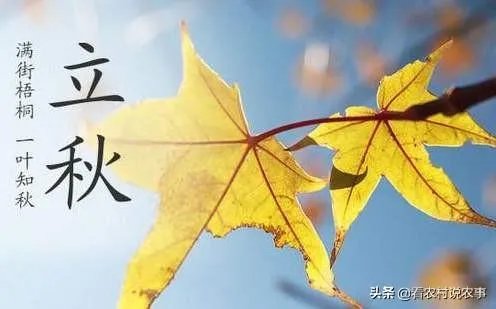 农村立秋当天忌讳