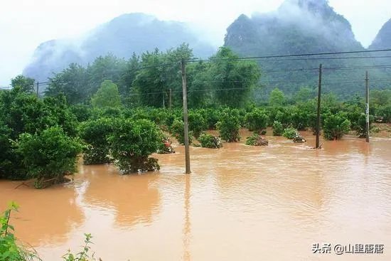 强降雨造成广西超32万人受灾,最近南方暴雨情况如何?有多少地方受灾了?