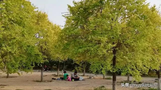卫健委发布通知低风险地区校园内师生不需佩戴口罩，学校怎么做？