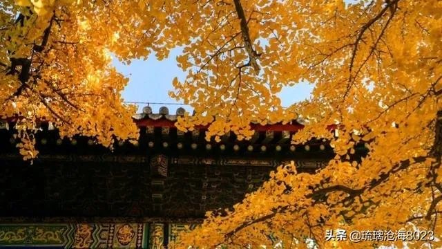 红螺寺好玩么?