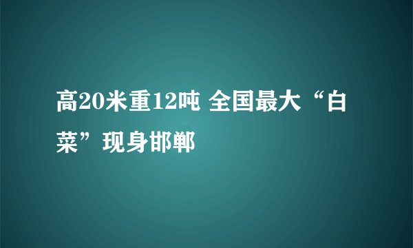 高20米重12吨 全国最大“白菜”现身邯郸