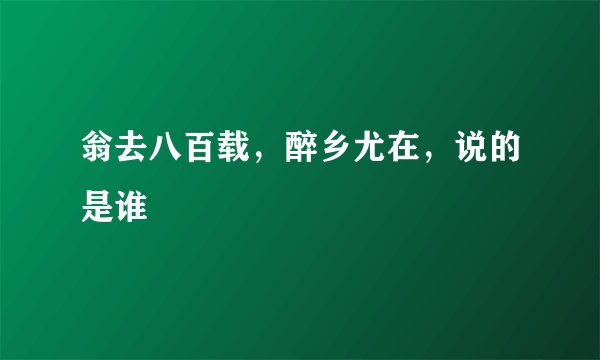 翁去八百载，醉乡尤在，说的是谁