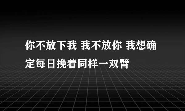 你不放下我 我不放你 我想确定每日挽着同样一双臂