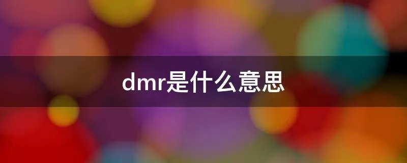 dmr是什么意思