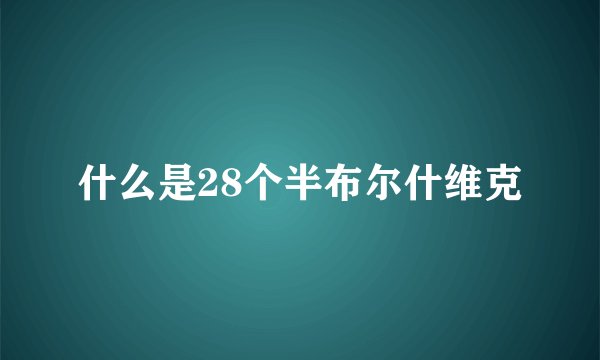 什么是28个半布尔什维克