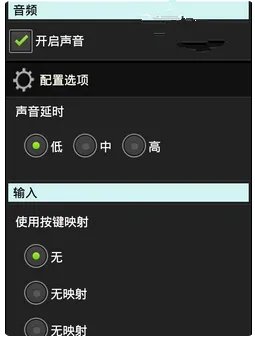 谁能教我一下DraStic激烈NDS模拟器怎么用金手指啊，是安卓版的