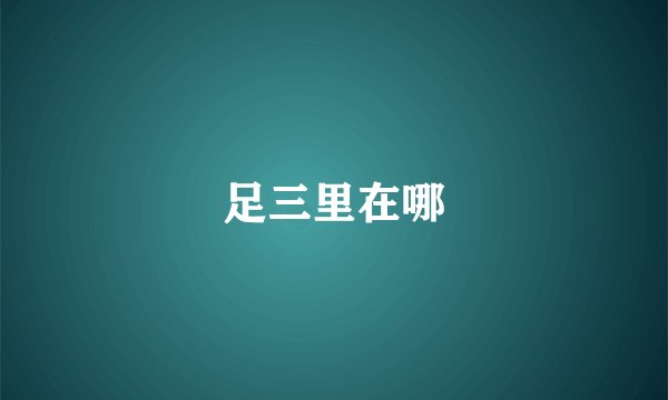足三里在哪