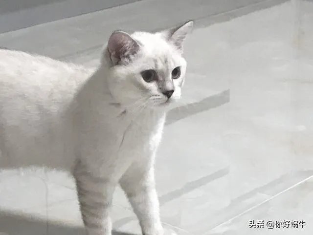 1W3工资在深圳