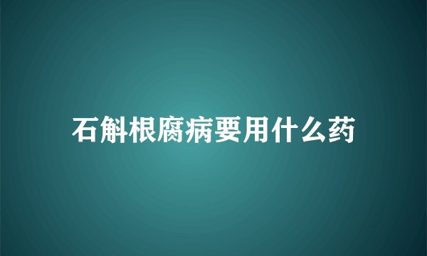 石斛根腐病要用什么药