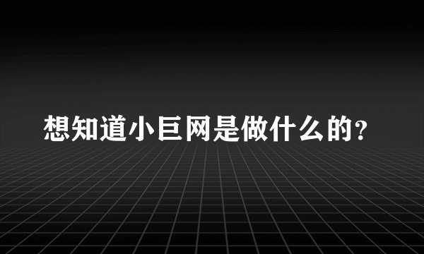想知道小巨网是做什么的？