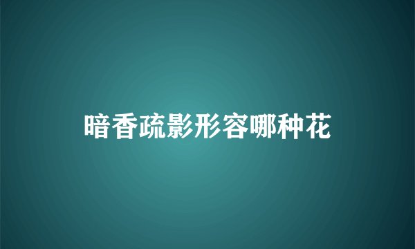 暗香疏影形容哪种花