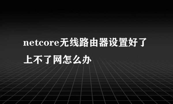 netcore无线路由器设置好了上不了网怎么办