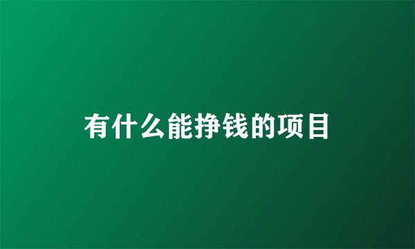 有什么能挣钱的项目