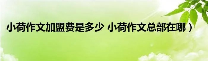小荷作文加盟费是多少 小荷作文总部在哪）