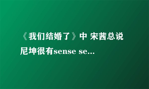 《我们结婚了》中 宋茜总说尼坤很有sense sense是什么意思