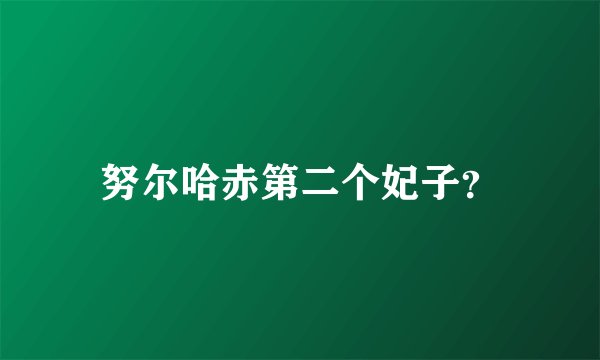 努尔哈赤第二个妃子？