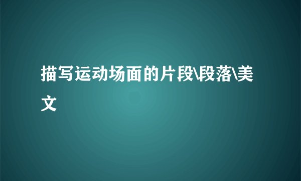 描写运动场面的片段\段落\美文