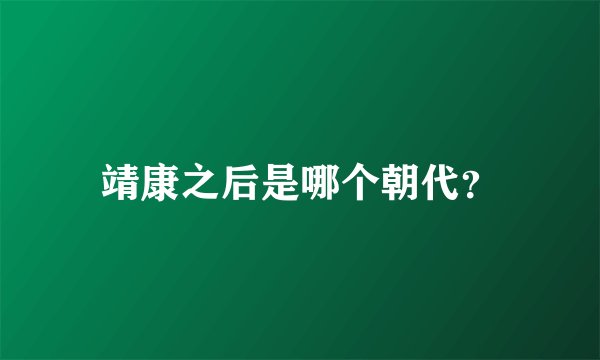 靖康之后是哪个朝代？
