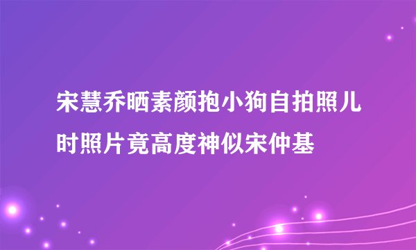 宋慧乔晒素颜抱小狗自拍照儿时照片竟高度神似宋仲基