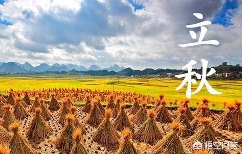 农村立秋当天忌讳