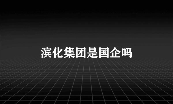 滨化集团是国企吗