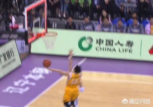 CBA总决赛第三场辽宁对阵广厦中,镜头出现李春江时出现个人原因1是什么意思?