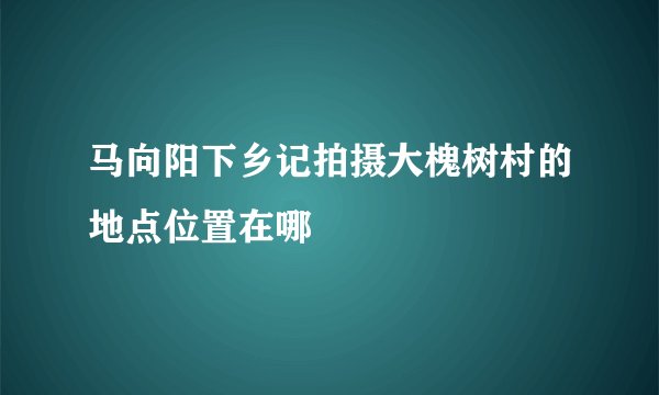 马向阳下乡记拍摄大槐树村的地点位置在哪