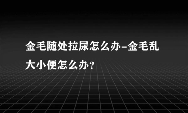金毛随处拉尿怎么办-金毛乱大小便怎么办？