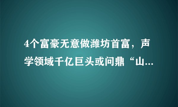 4个富豪无意做潍坊首富,声学领域千亿巨头或问鼎“山东首富”