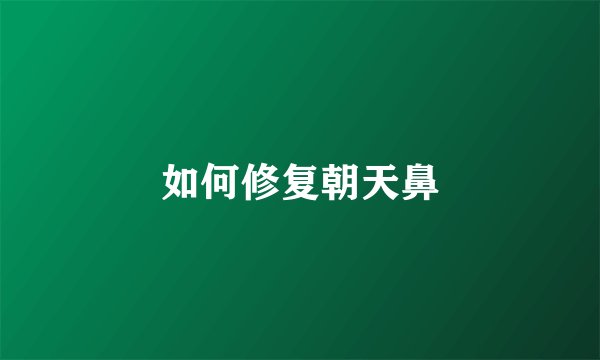 如何修复朝天鼻