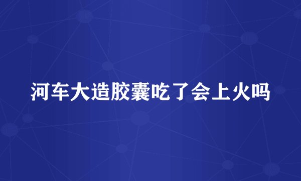 河车大造胶囊吃了会上火吗