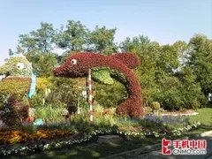 拍照效果:用事实说话