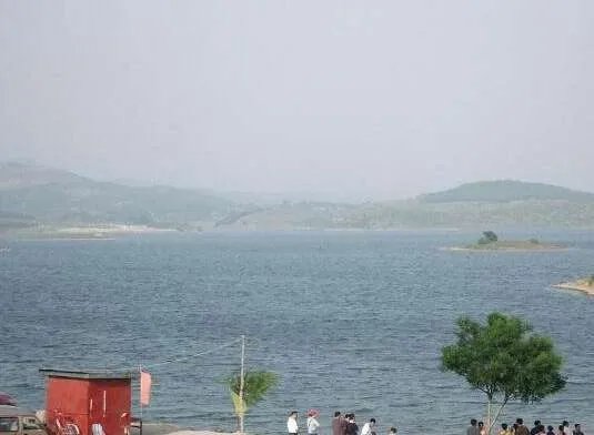 广东水怪:湛江湖光岩惊现数十条巨型生物