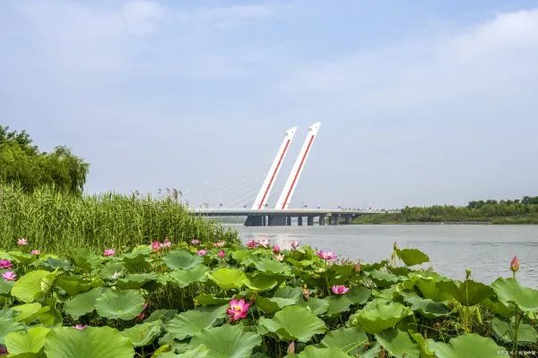 郑州遭受暴雨袭击,为什么周口西华、扶沟的老百姓需要紧急撤离?