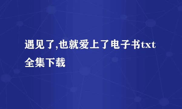 遇见了,也就爱上了电子书txt全集下载
