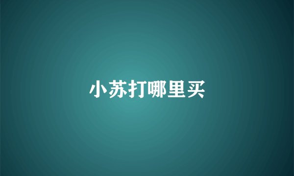 小苏打哪里买