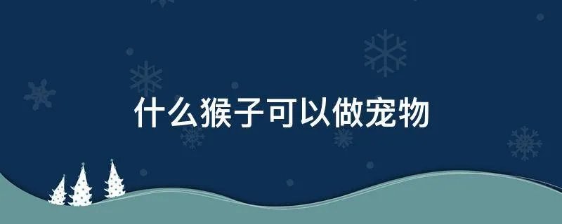 什么猴子可以做宠物