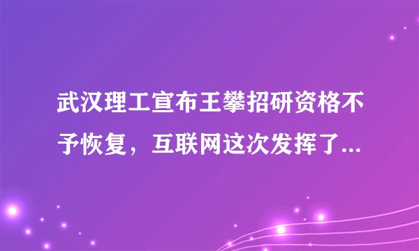 武汉理工宣布王攀招研资格不予恢复，互联网这次发挥了什么正面作用？