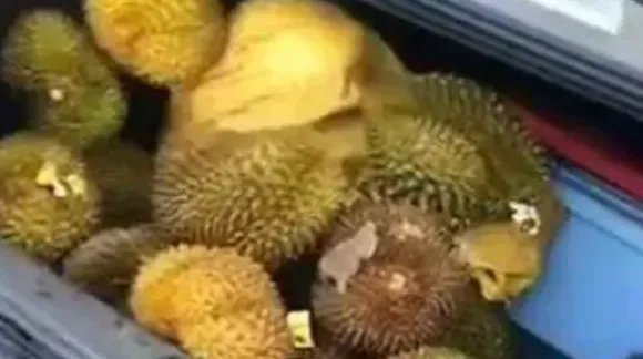 哄抢榴莲村民食物中毒,中毒的责任谁担?