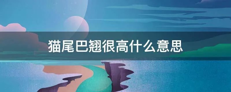 猫尾巴翘很高什么意思