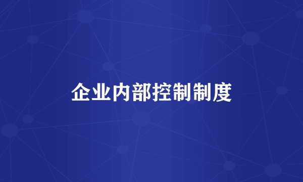 企业内部控制制度