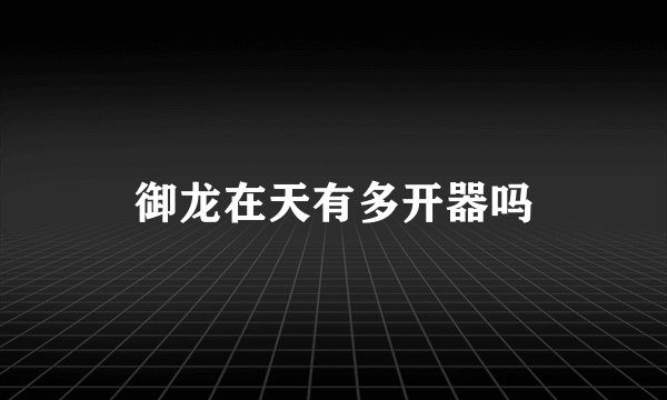 御龙在天有多开器吗