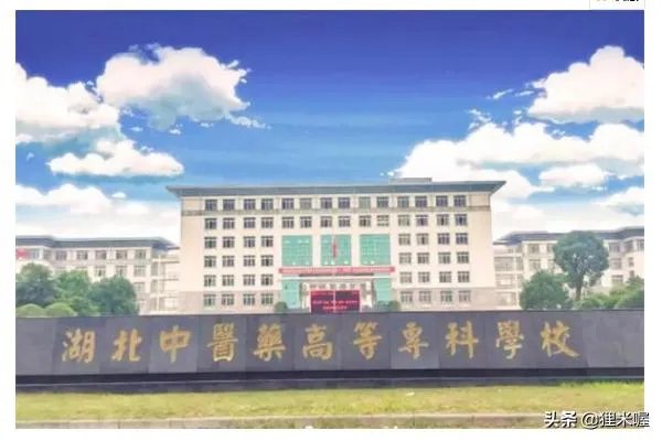 湖北专科大学有哪些2019湖北所有专科大学排名及分数线?